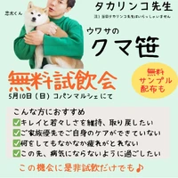 画像282